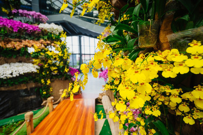 新加坡网上鲜花预订,新加坡鲜花批发市场