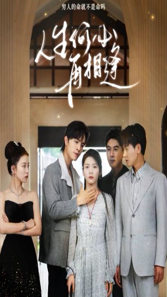 人生何必再相逢（80集） 高清完整版