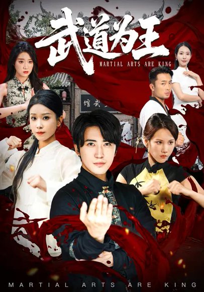 武道为王（66集）苏嘉欣&李岩松 高清完整版