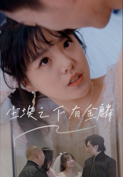 尘埃之下有金鳞（60集）汪晓彤 高清完整版