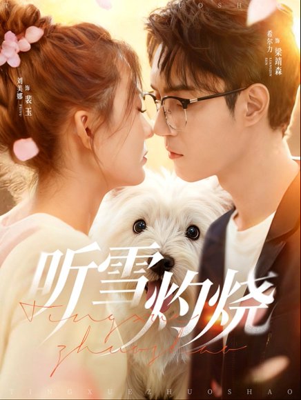 听雪灼烧（68集）希尔力＆刘美娜 高清完整版