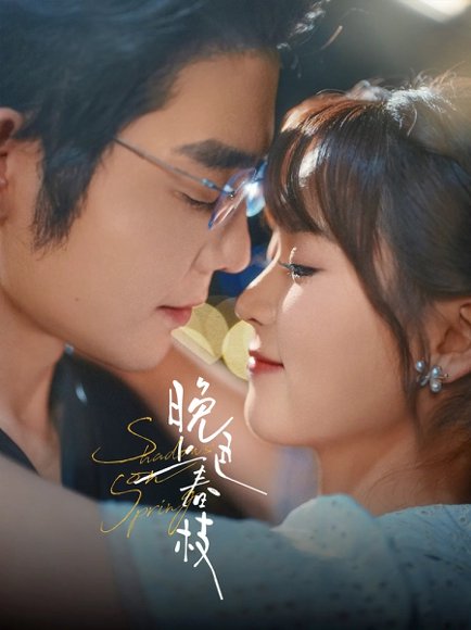 晚色上春枝（80集）王晨鹏&翟一莹 高清完整版