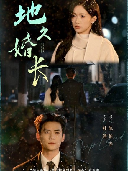 地久婚长（69集）陈柏乔&林鸽 高清完整版